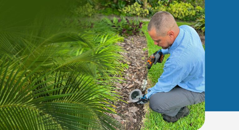 Commercial Pest Control Services South Florida