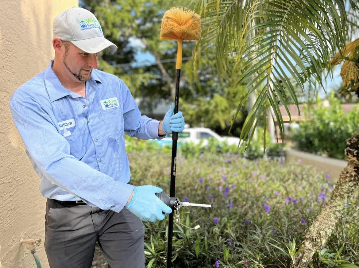 Wise House Pest Prevention: The Secret To A Pest-Free Home