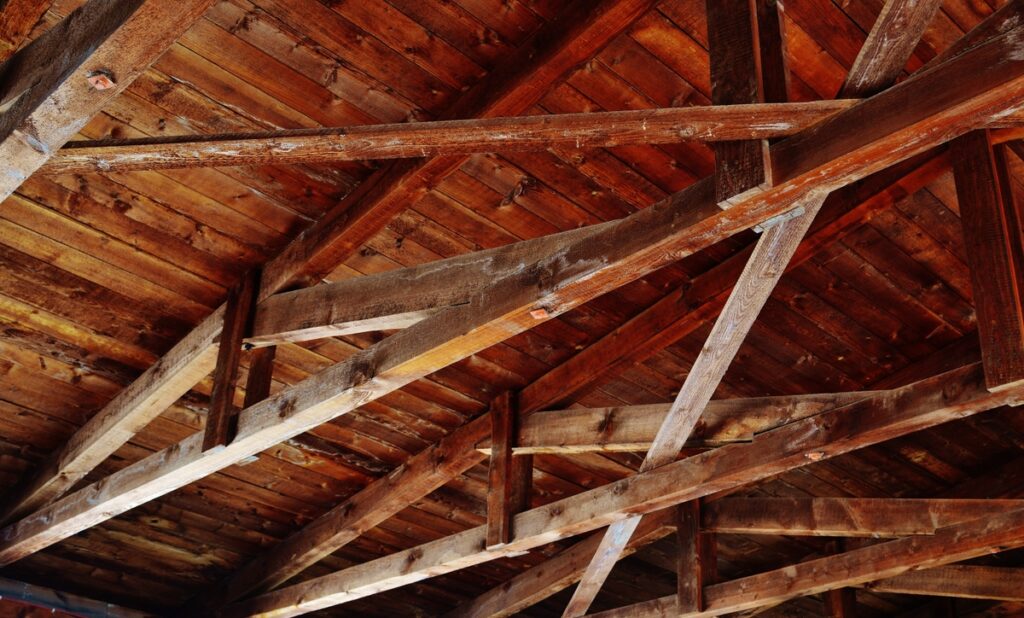 Wooden attic framing and rafters in a South Florida home during pest inspection