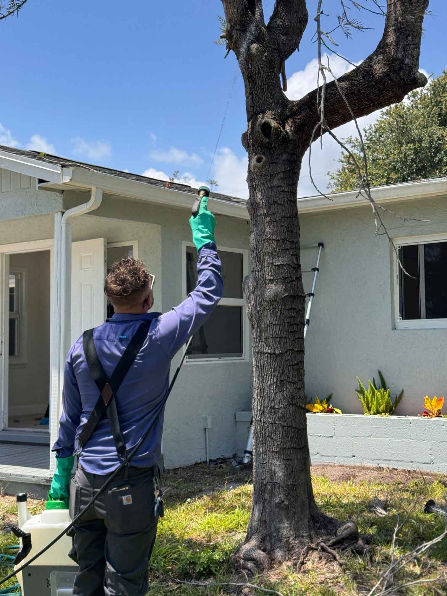 Pest Problems in Jensen Beach